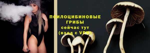 спиды Волоколамск