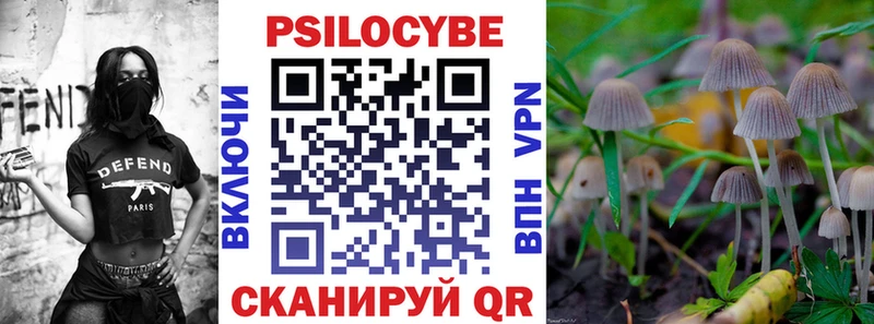 Купить где  Зерноград  Псилоцибиновые грибы мицелий 